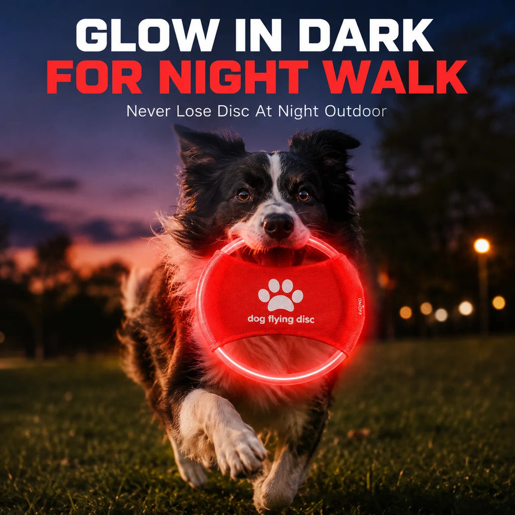 DogMimo – Disco LED Luminoso para Perros