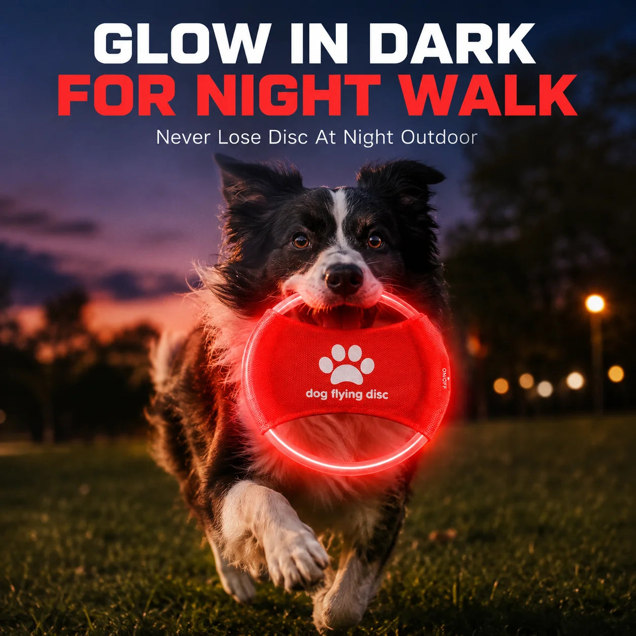 DogMimo – Disco LED Luminoso para Perros
